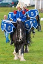 Tor and Oden the Drum horses (Shire horses)