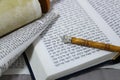 Torah, Bible, parchment, and the sons have returned Royalty Free Stock Photo