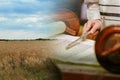 Field wheat in period harvest on background sky Torah Reading With A Pointer Royalty Free Stock Photo