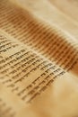 Torah Scroll