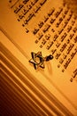 Torah and Star of David Royalty Free Stock Photo