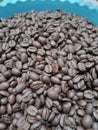 Toraja arabica coffee black roasting Royalty Free Stock Photo
