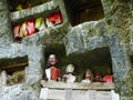 Toraja traditional rock tombs at Lemo