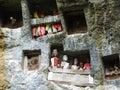 Toraja traditional rock tombs at Lemo