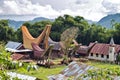 Toraja Traditional Village Royalty Free Stock Photo