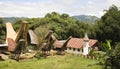 Toraja village