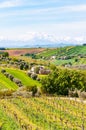 Torano Nuovo country side of, grape vineyards, olive groves and snow capped mountain views