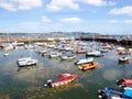 Torbay and Paignton Harbour, Devon. Royalty Free Stock Photo