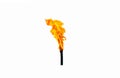 Torch with fire isolated on white background Royalty Free Stock Photo