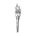 Torch Handmade Old Wooden Burning Stick Ink Vector