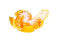 Tore tangerine 2 Royalty Free Stock Photo