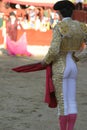 Torero Royalty Free Stock Photo