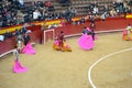 Toreros is performing a bullfight with Ivan Fandino. `Corrida` bullfighting is Spanish tradition. Royalty Free Stock Photo