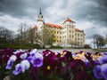Torgau castle against of blooming pancies Royalty Free Stock Photo