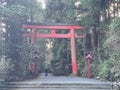 Tori gate near Hakone shrine in Japan Royalty Free Stock Photo