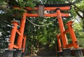 Tori gate shrine or temple red pagoda in Japan