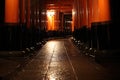 Tori gates in Fushimi Inari Shrine at night with selective focus , Kyoto, Japan Royalty Free Stock Photo