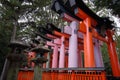 Tori gates Kyoto Japan temple Royalty Free Stock Photo