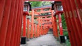 Tori of Taikodani Inari Shrine in Tsuwano Royalty Free Stock Photo