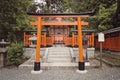 Torii in Fushimi Inari