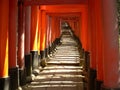 Torii at Fushimi Inari Shrine