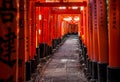 Torii at Fushimi Inari-taisha at Autumn sunset with sunlight filtering through the gates and some leaf litter on the sides