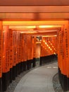 Torii Fushimi Inari Kyoto Kansai Japan Travel