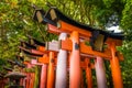 Torii at Fushimi Inari Taisha Shrine Royalty Free Stock Photo