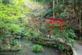 Torii gate at beautiful garden at Nanzoin temple,Sasaguri, Fukuoka
