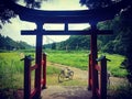 torii gate in sado island , Japan Royalty Free Stock Photo