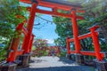 Torii gate of Chureito Pagoda with the Peak of Mt. Fuji in the s Royalty Free Stock Photo
