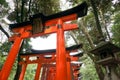 Torii gate at Fushimi Inari Taisha