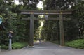 Torii Gate at Meiji Jingu