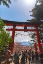 Torii Gate with Mount Fuji Mt. Fuji in cherry blossoms