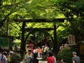 Torii gate of Nonomiya Shrine, Arashiyama Kyoto Japan.