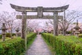 Torii gate with pink sakura tunnel at Asahigaoka park, Kashima