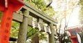 Torii gate, shide and temple in forest in Japan with zen, spiritual history and monument in garden. Nature, trees and Royalty Free Stock Photo