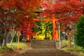 Torii gate to chureito pagoda, Fujiyoshida, Japan Royalty Free Stock Photo