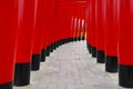 Torii gate tunnel, Japan very bright red color