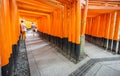 Torii gates with blurred tourists