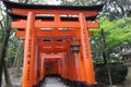 Torii Gates . Fushimi Inari Shrine Fushimi Inari Taisha . Kyoto . Japan