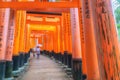 Torii gates Fushimi Inari shrine, Kyoto