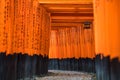 Torii Gates, Fushimi Inari Taisha Shrine located in Fushimi-ku Royalty Free Stock Photo