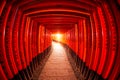 Torii gates in Fushimi Inari Shrine, Kyoto, Japan Royalty Free Stock Photo