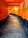 Torii gates in Fushimi Inari Shrine, Kyoto, Japan