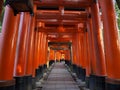 Torii gates of Fushimi Inari shrine, Kyoto, Japan Royalty Free Stock Photo