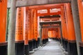 Torii Gates . Fushimi Inari Shrine Fushimi Inari Taisha . Kyoto . Japan