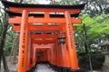 Torii Gates . Fushimi Inari Shrine Fushimi Inari Taisha . Kyoto . Japan