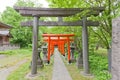 Torii gates of Hachiman Shinto Shrine, Akita, Japan Royalty Free Stock Photo