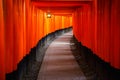 Torii gates in Inari Shrine, Kyoto, Japan Royalty Free Stock Photo